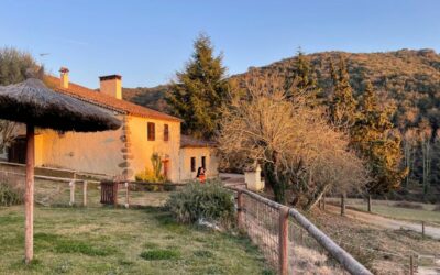 Warsztaty Weekendowe Joga, Reset & Fun