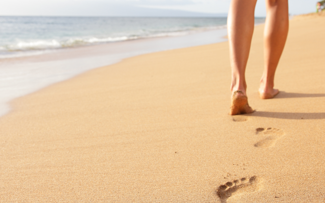 Habitos de Bienestar