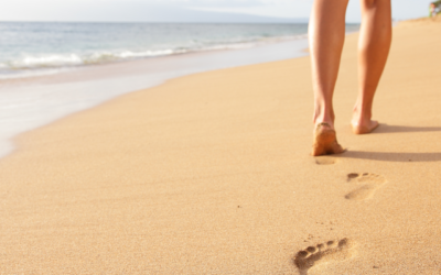 Habitos de Bienestar