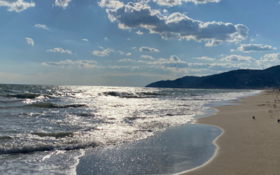 La Vida en Marzo – Soltar pero no Rendirse