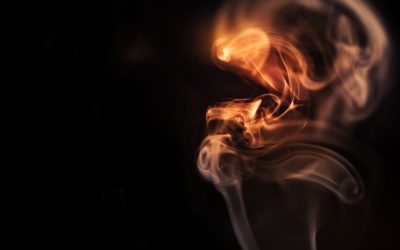 Tu Mente 🤯 no está Diseñada para Hacerte Feliz